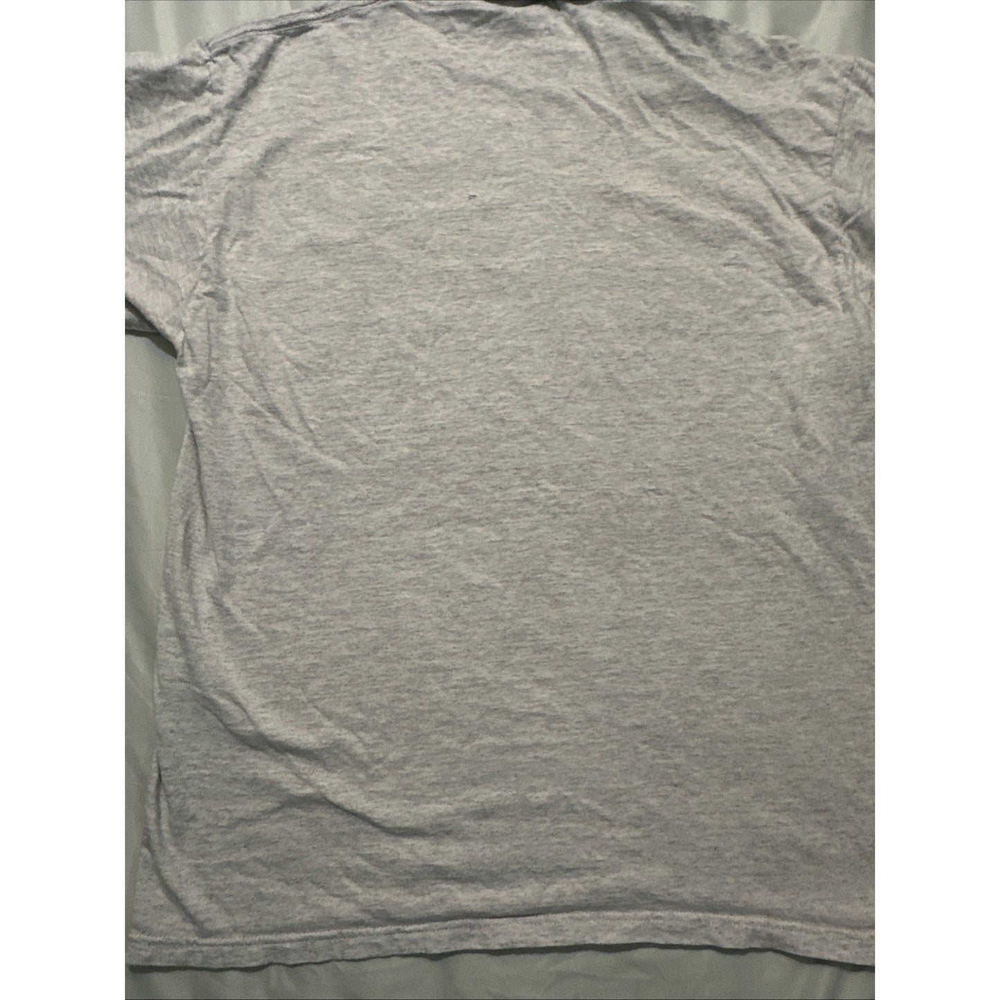 Vtg Tultex T Shirt Wyoming Destination Tee Gray Size L Buffalo Skull 1D29