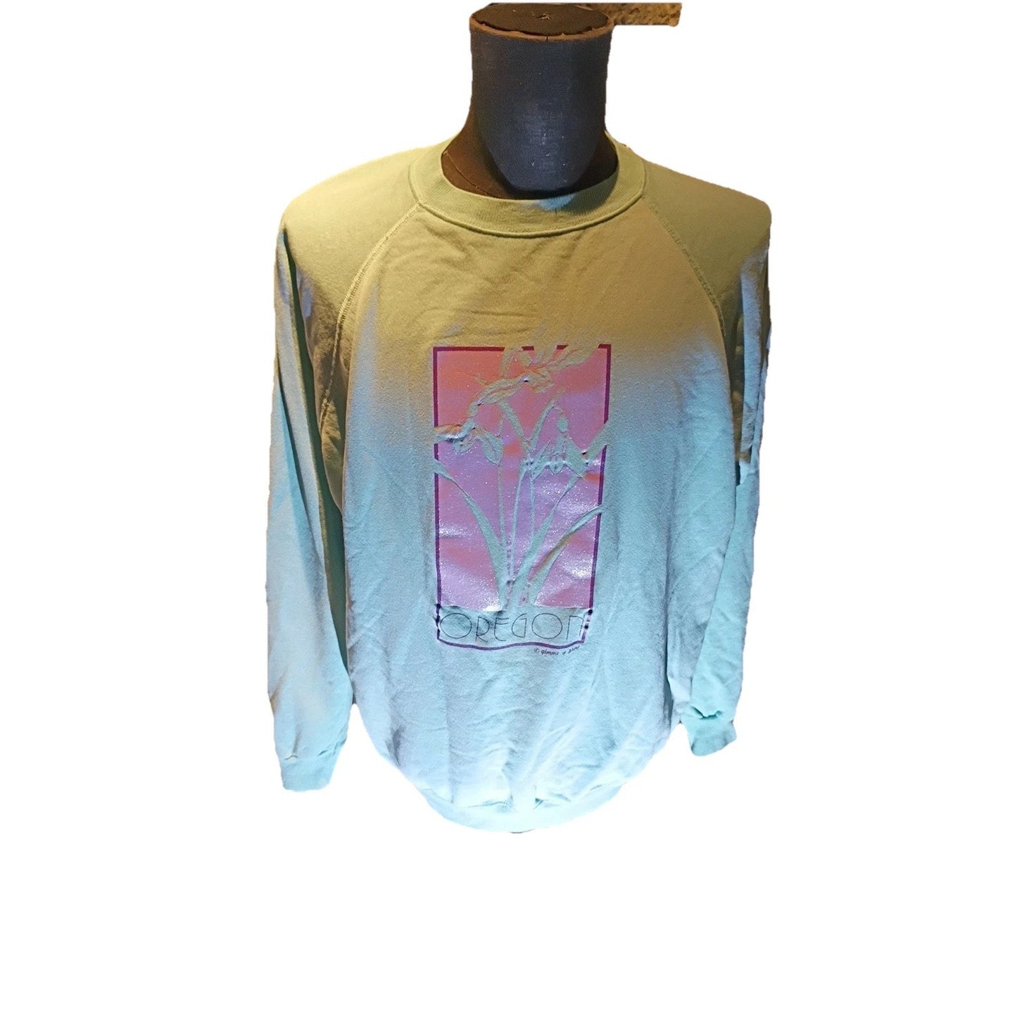 90s Vtg Oregon Pullover Sweater Unisex L/XL Green Graphic By Gimme A Pint C1