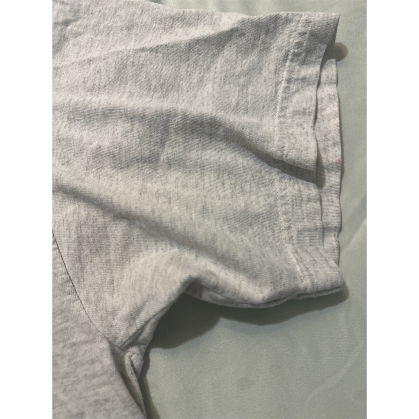 Vtg Tultex T Shirt Wyoming Destination Tee Gray Size L Buffalo Skull 1D29