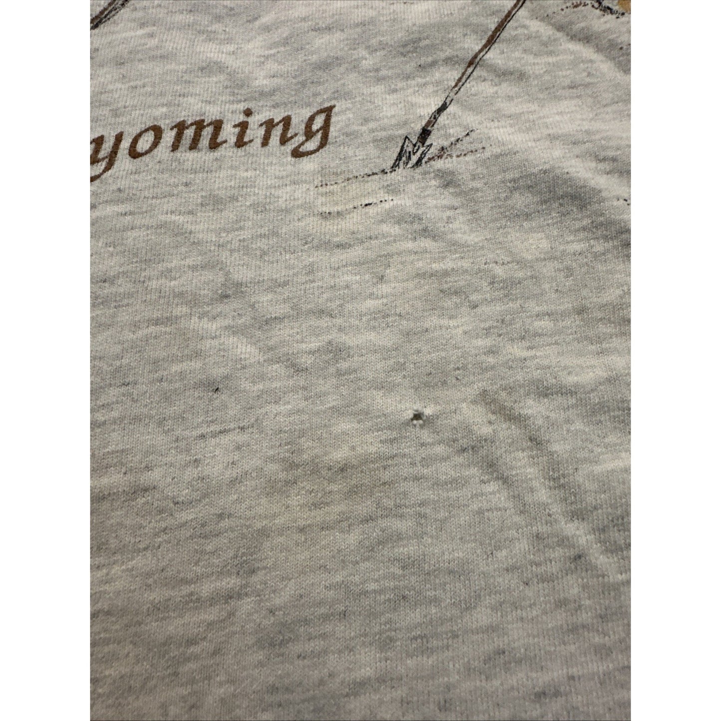 Vtg Tultex T Shirt Wyoming Destination Tee Gray Size L Buffalo Skull 1D29